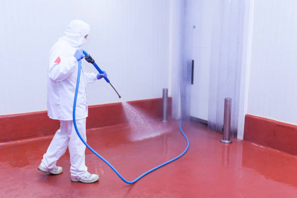 Best Spring Cleaning  in Byron, CA